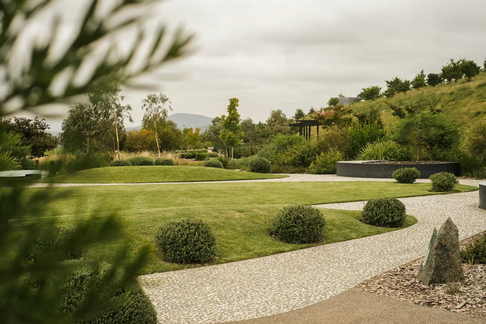 Jardín paisajístico con césped en curvas, bolas de arbusto y camino de grava
